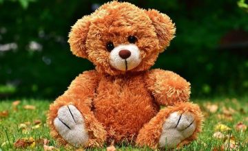 KONKURS Z OKAZJI DNIA PLUSZOWEGO MISIA