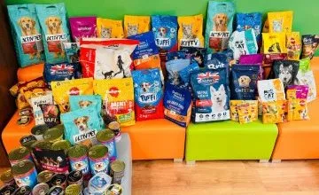 Ogrom dobra w… zaledwie jeden dzień! 