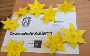 Akcja Żonkile (10)