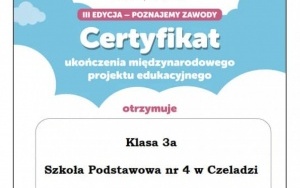 PROJEKTY (11)