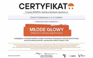 PROJEKTOWY ZAWRÓT GŁOWY (12)