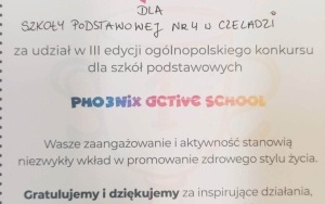 PROJEKTOWY ZAWRÓT GŁOWY (14)