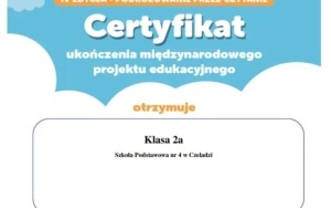 PROJEKTOWY ZAWRÓT GŁOWY (9)