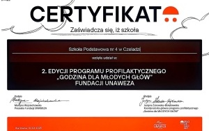 PROJEKTOWY ZAWRÓT GŁOWY (10)