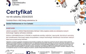 PROJEKTOWY ZAWRÓT GŁOWY (13)