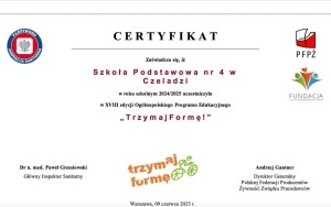 PROJEKTOWY ZAWRÓT GŁOWY (18)