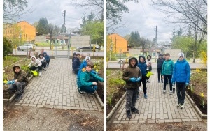ŻONKILE - KWIATY PAMIĘCI (3)